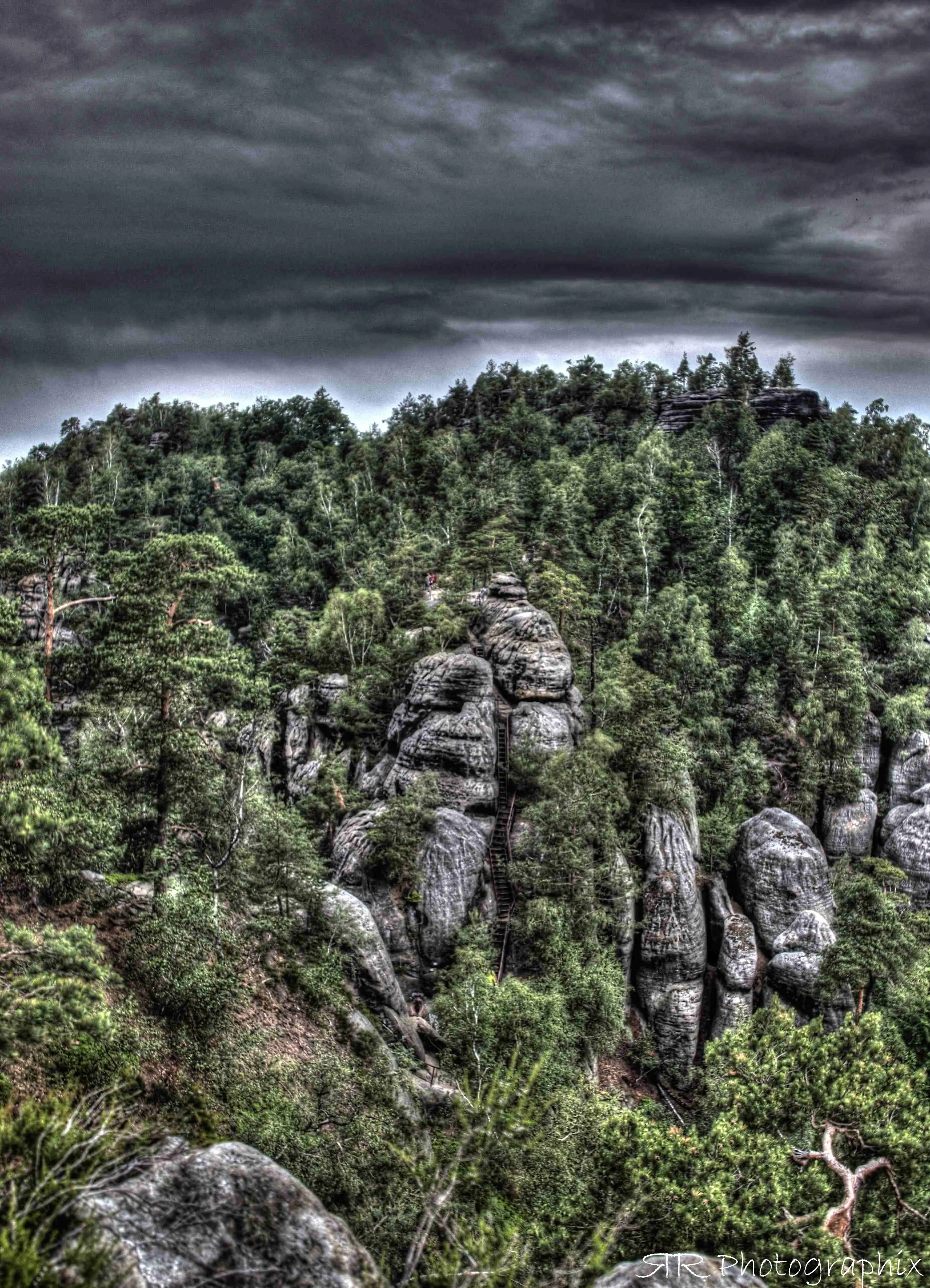 Mobirise Website Builder