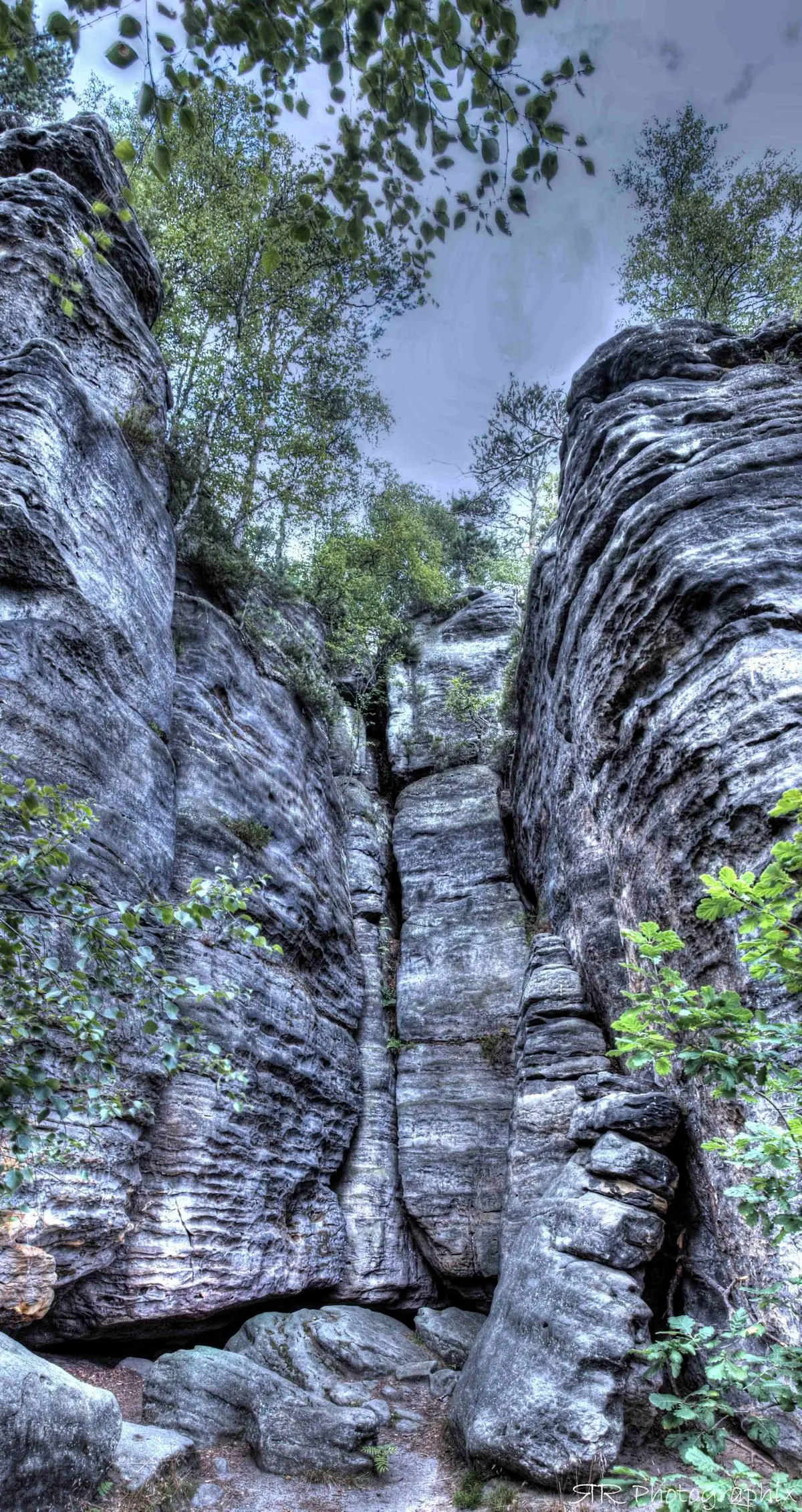 Mobirise Website Builder