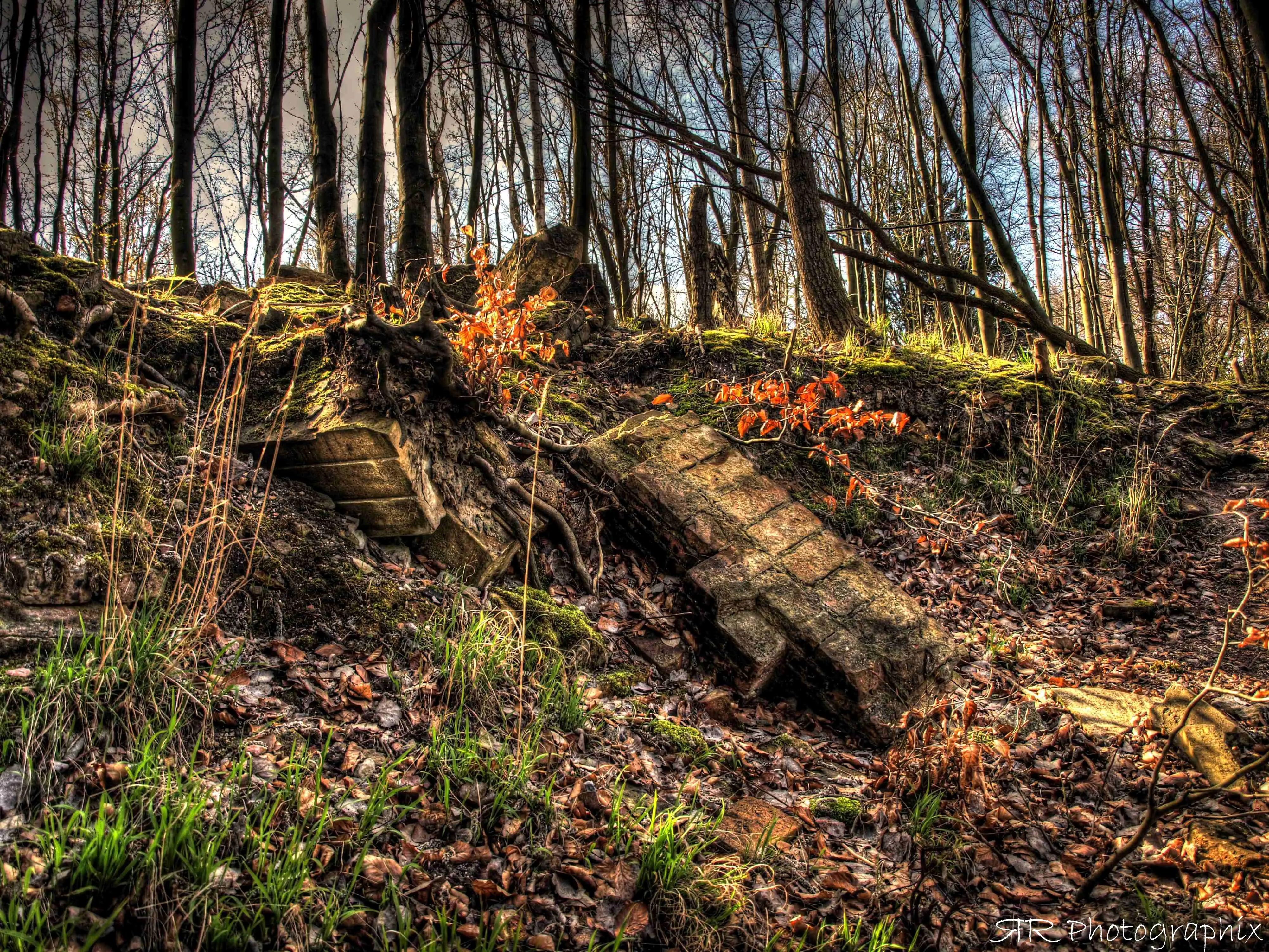 Mobirise Website Builder