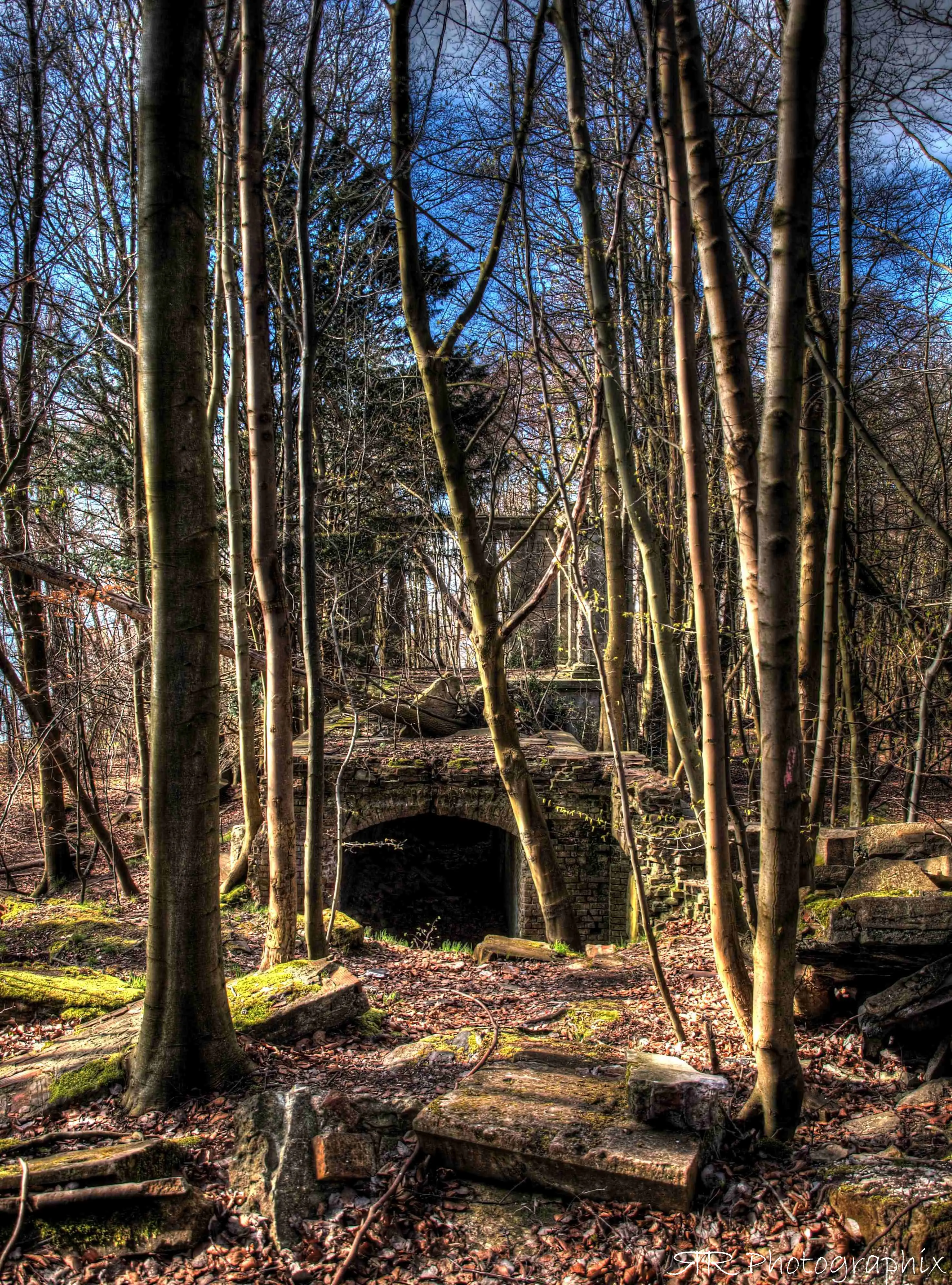 Mobirise Website Builder