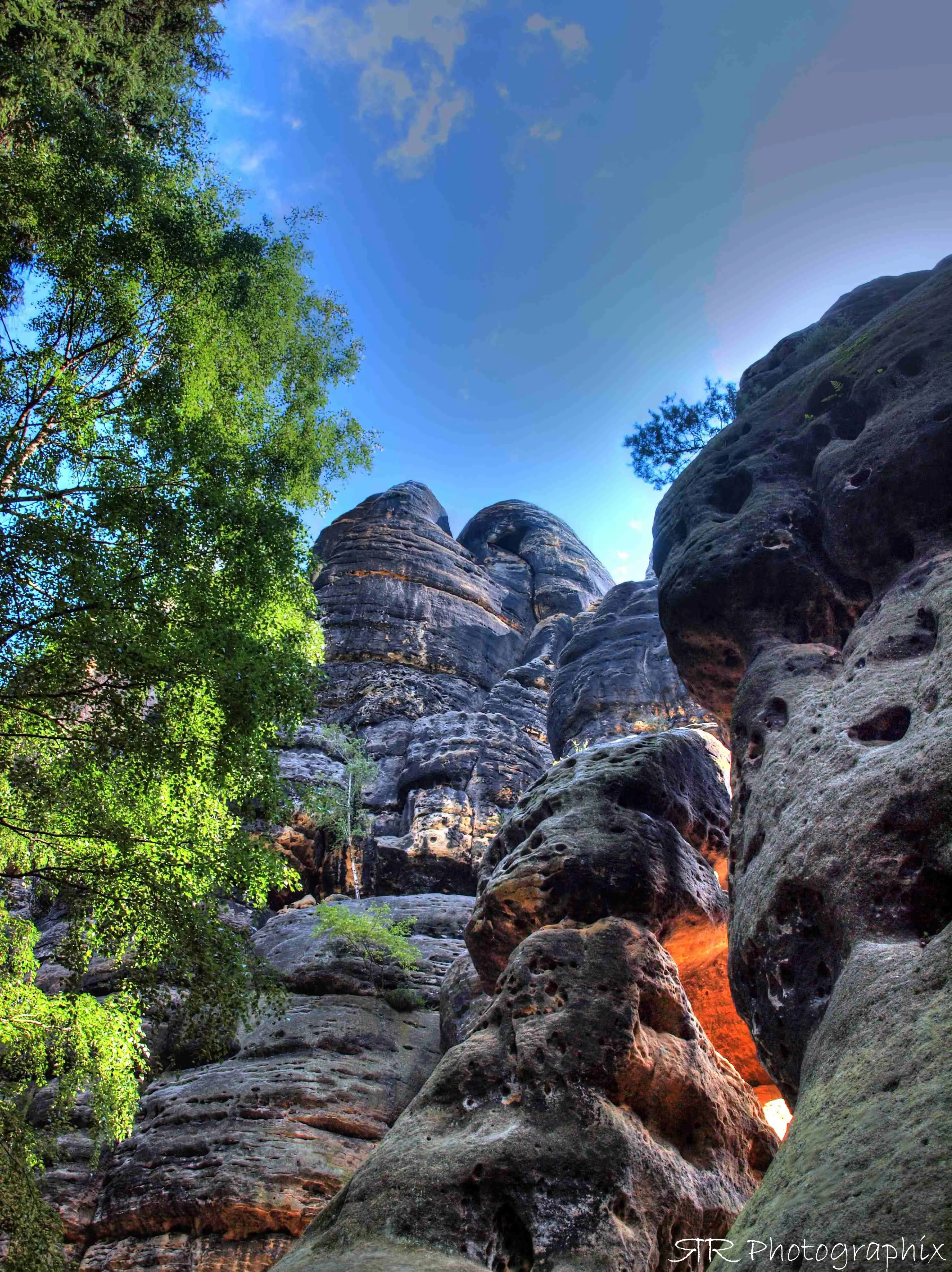 Mobirise Website Builder